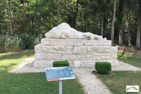 lion de souville W1