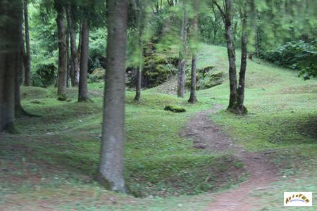 tranchee verdun