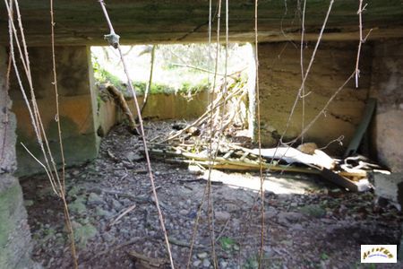 artillerie lutzenwald 3-14