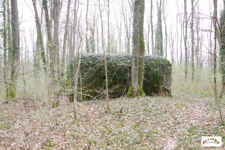 artillerie 1B-1