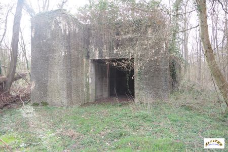 bunker drachen 1