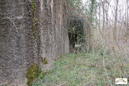 bunker drachen 11