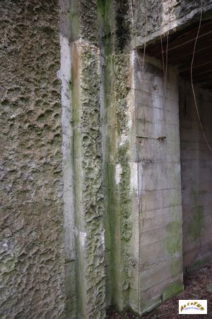 bunker drachen 6