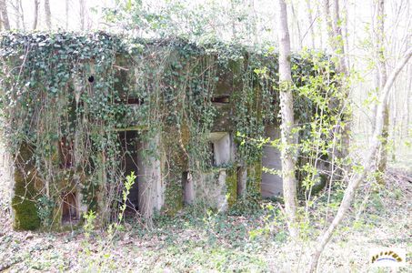 bunker vorwald 11