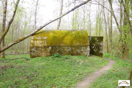 bunker vorwald 25