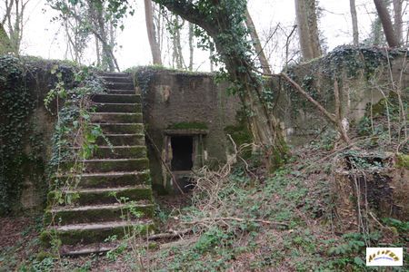 villa roux blockhaus 1-7