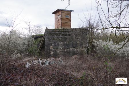 villa roux blockhaus 6
