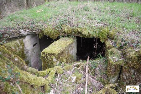 villa roux blockhaus 7-3