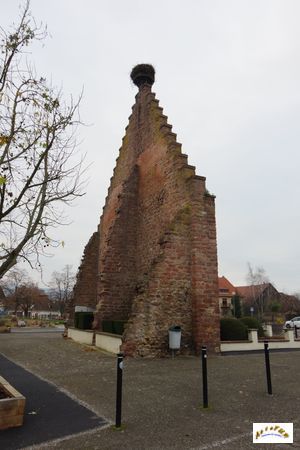 ostheim 5