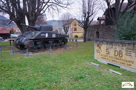 sherman kientzheim 6