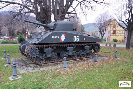 sherman kientzheim 8