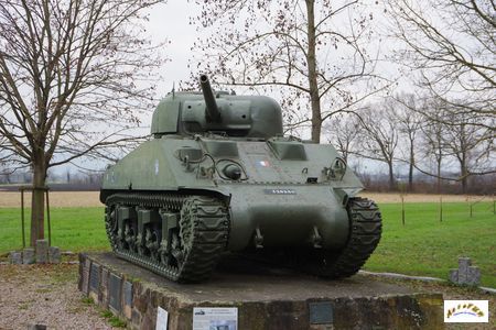 sherman grussenheim 11