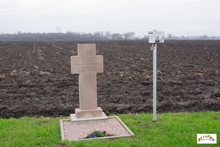 sherman grussenheim 13