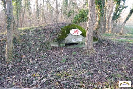 Akazien Goldgrube 3-1