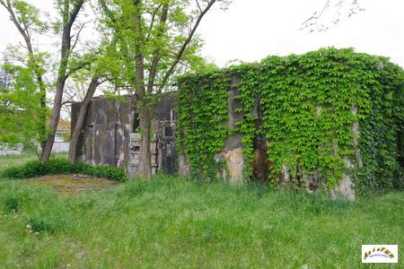 algolsheim nord 2025-2