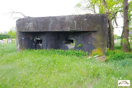 algolsheim nord 2025-8