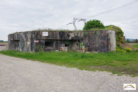 algolsheim sud 2025-1