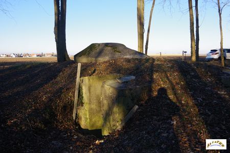 sauloch kuhspick 1-4