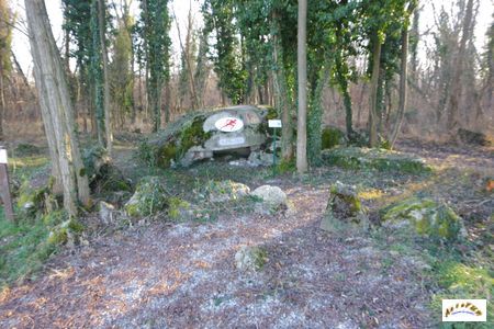 schlittweg kuhspick 2-1