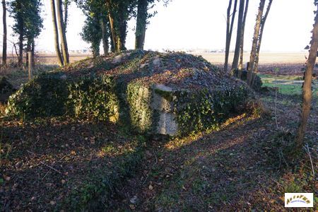 schlittweg kuhspick 2-5