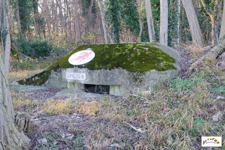 Stoekle Goldgrube 2-1