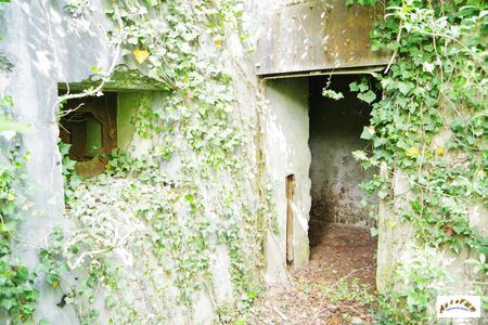 casemate kembs nord 2025-3