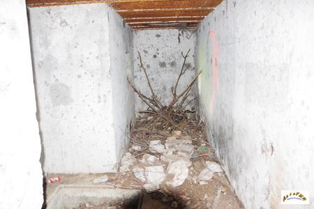 casemate kembs nord 2025-8