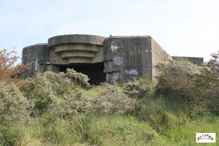 Blockhaus Waldam M270 W