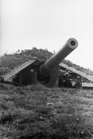 Bundesarchiv_Bild_101I-113-0004-24,_Nordeuropa,_Küstenbatterie