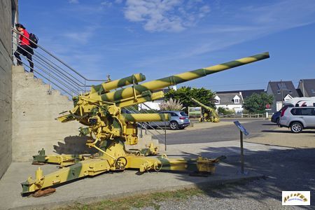 canon 88