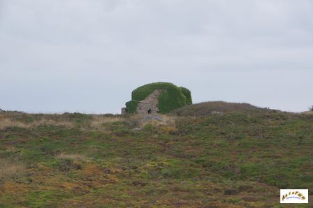 bunker radar 6