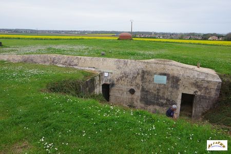 site hillman 32