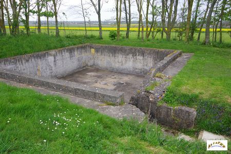 site hillman 36