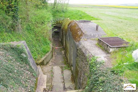 site hillman 38