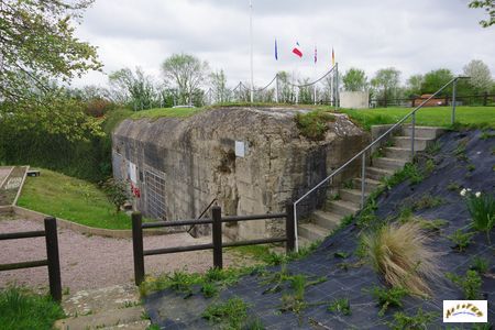 site hillman 6
