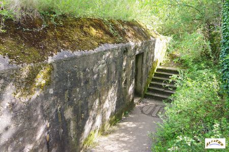 batterie mont canisy 12