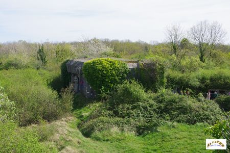 batterie mont canisy 55