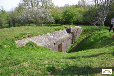 batterie mont canisy 9