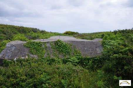 bunker 2