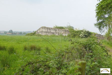 Base V1 Wallon Cappel 1