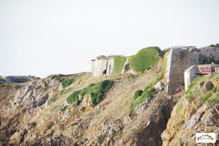 fort arboue 74
