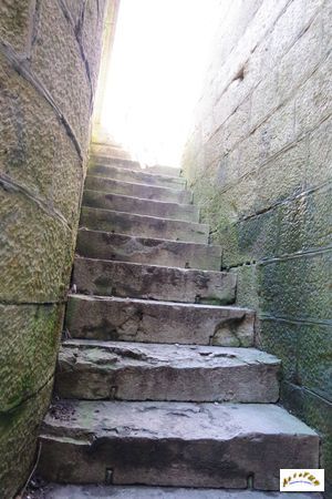 fort beauregard 2026-22