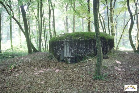 Fort Tavannes W15