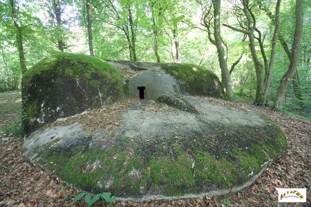 Fort Tavannes W16