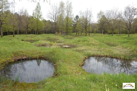 thiaumont w1