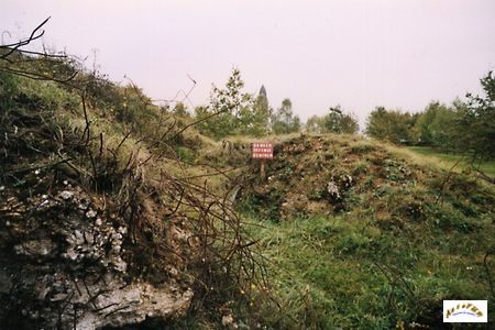 thiaumont w4