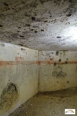 fort de vaux w34