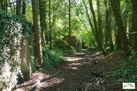 batterie bois patheret 2