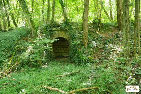 batterie Bois sous roche 3