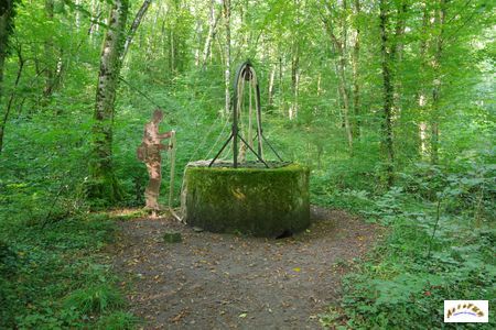 puits bois sous roche